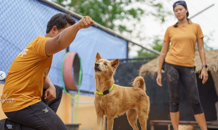 นัท ฮามอน ฝึกสุนัขกู้ภัยในสนามฝึก ภาพจากโพสต์ Instagram ของคนใจมา
