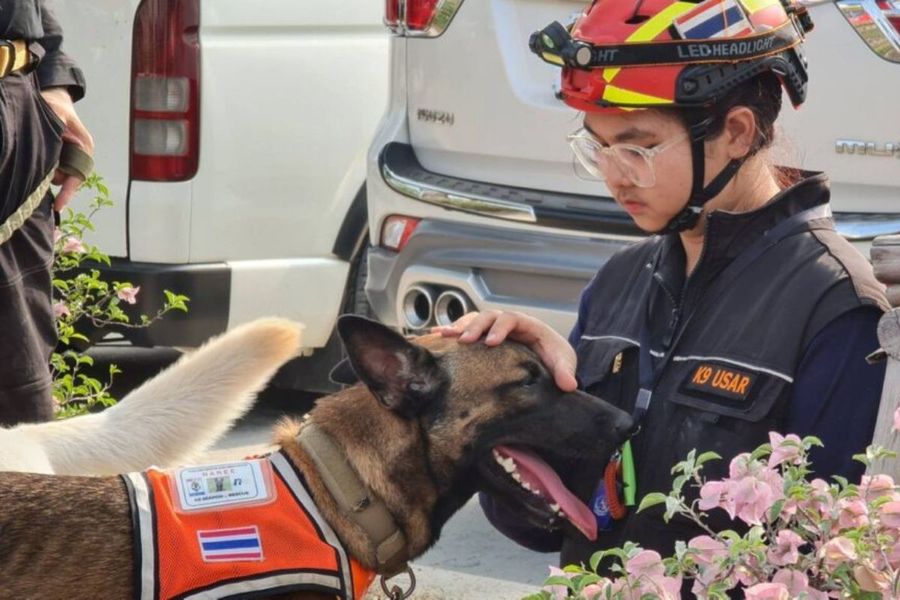ณัฐรีย์ ฮามอน (นัท) ผู้ฝึกสุนัขกู้ภัย K9 ในบทความประชาชาติธุรกิจแนะนำทีมสุนัขกู้ภัยตึกถล่ม