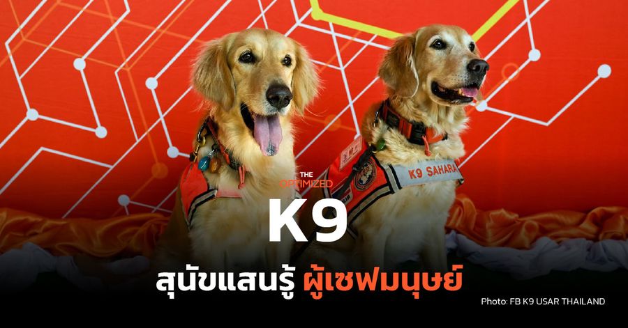 นัท ฮามอน ผู้เชี่ยวชาญสุนัขกู้ภัย K9 ในบทความ The Optimized พาทำความรู้จักสุนัขกู้ภัยไทย