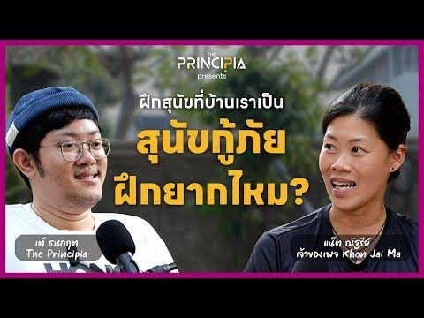 แนต ฮามอน แห่งคนใจมา ในคลิปสัมภาษณ์ The Principia ตอบคำถามว่าฝึกสุนัขบ้านให้เป็นสุนัขกู้ภัยยากแค่ไหน